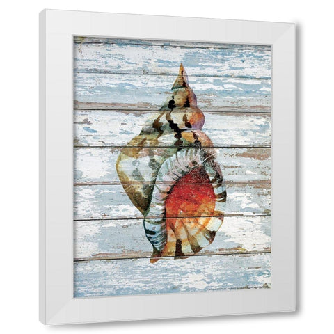 Seashell 2 White Modern Wood Framed Art Print by Nobleworks, Inc.