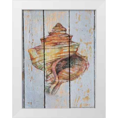 Seashell 4 White Modern Wood Framed Art Print by Nobleworks, Inc.