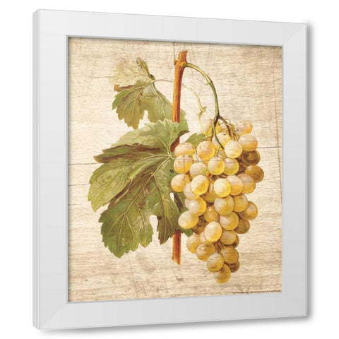 Grapevine 1 White Modern Wood Framed Art Print by Nobleworks, Inc.