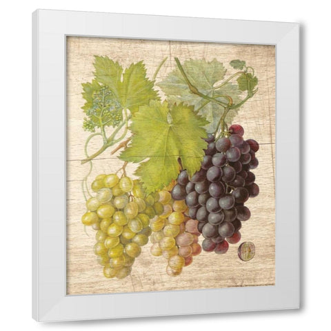 Grapevine 2 White Modern Wood Framed Art Print by Nobleworks, Inc.