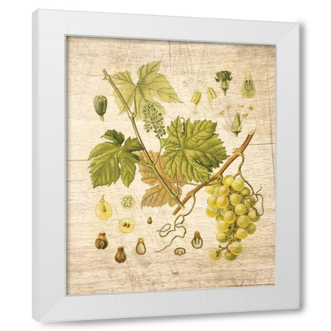 Grapevine 3 White Modern Wood Framed Art Print by Nobleworks, Inc.