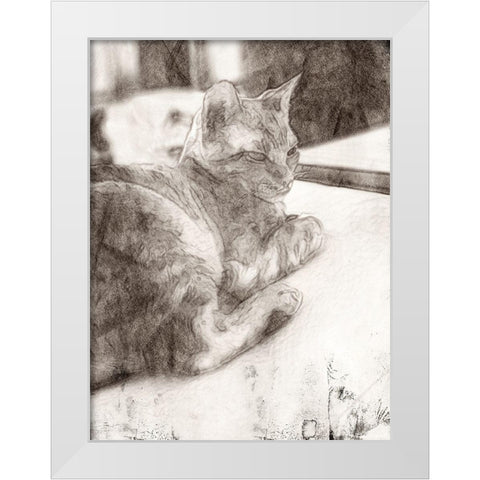 Warming Up White Modern Wood Framed Art Print by Segal, Alan