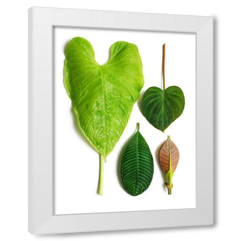 Cloud Forest White Modern Wood Framed Art Print by Rosenthal, Barry