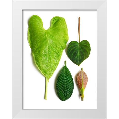 Cloud Forest White Modern Wood Framed Art Print by Rosenthal, Barry