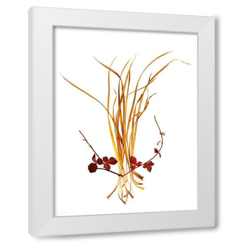 Straw And Rasberry White Modern Wood Framed Art Print by Rosenthal, Barry
