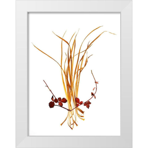 Straw And Rasberry White Modern Wood Framed Art Print by Rosenthal, Barry
