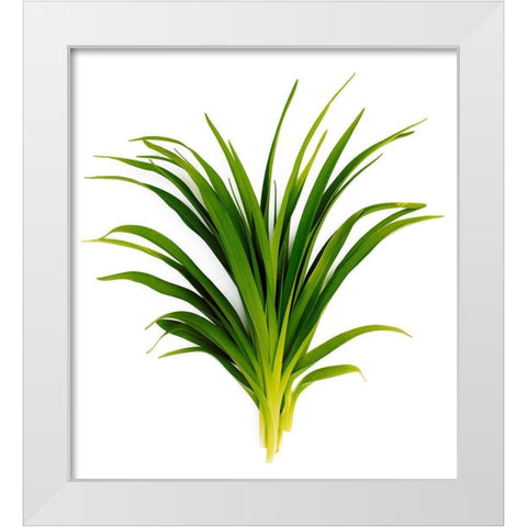 Sedge Bedford White Modern Wood Framed Art Print by Rosenthal, Barry