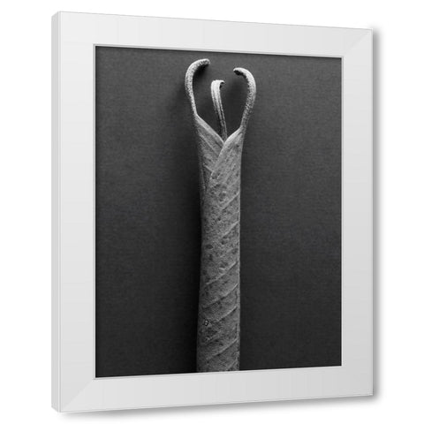 Mountain Leaves 2 White Modern Wood Framed Art Print by Rosenthal, Barry