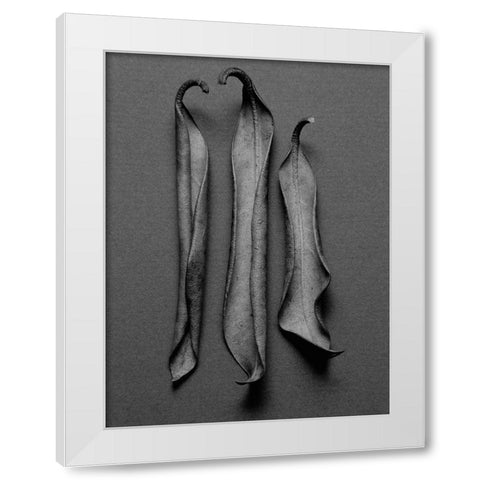 Mountain Leaves 1 White Modern Wood Framed Art Print by Rosenthal, Barry