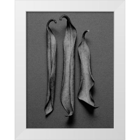 Mountain Leaves 1 White Modern Wood Framed Art Print by Rosenthal, Barry