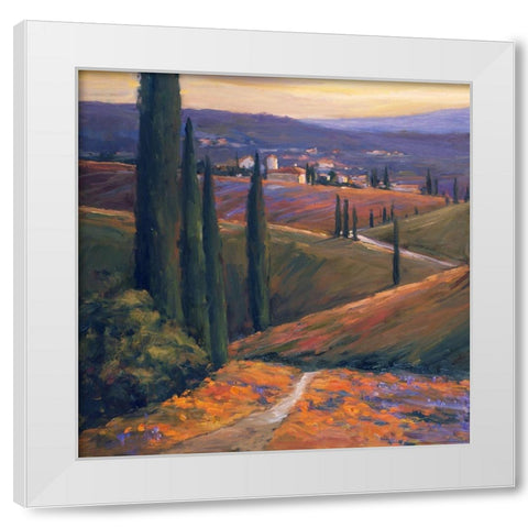 Afternoon 1 White Modern Wood Framed Art Print by Stevens, Allayn