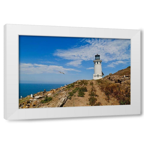 Anacapa Lighthouse White Modern Wood Framed Art Print by Vizvary, Susan