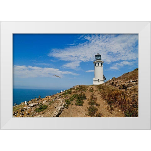 Anacapa Lighthouse White Modern Wood Framed Art Print by Vizvary, Susan