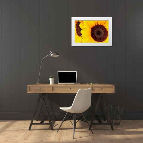 RT 66 Towing White Modern Wood Framed Art Print by Vizvary, Susan