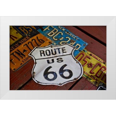 License Paltes White Modern Wood Framed Art Print by Vizvary, Susan