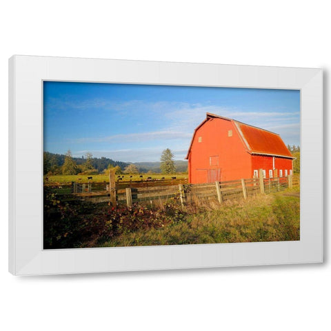 Red Barn With Cows White Modern Wood Framed Art Print by Vizvary, Susan