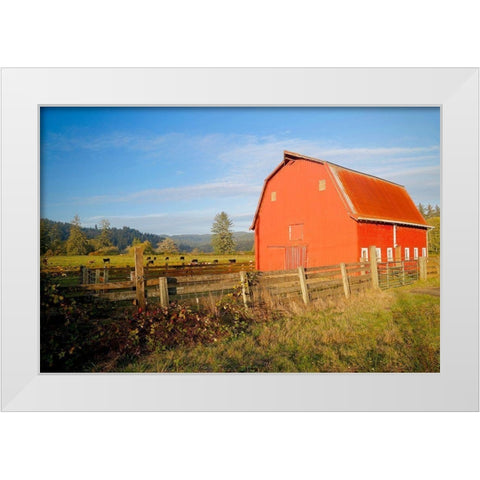 Red Barn With Cows White Modern Wood Framed Art Print by Vizvary, Susan