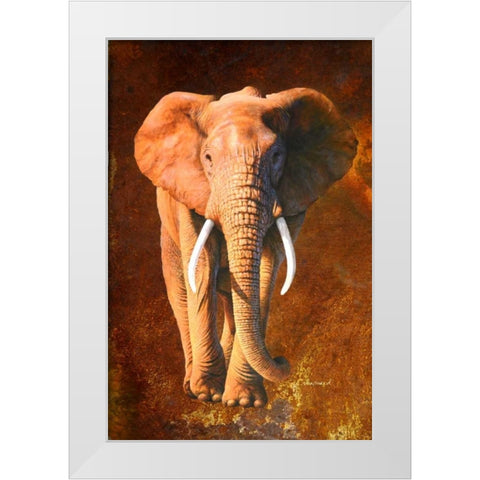 Elephant 02 White Modern Wood Framed Art Print by Chamard, Jean-Marc