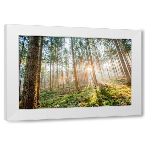Sunflare 1 White Modern Wood Framed Art Print by Henk van Gog