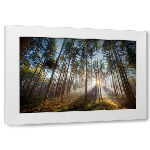 Sunflare 2 White Modern Wood Framed Art Print by Henk van Gog