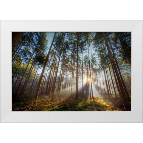 Sunflare 2 White Modern Wood Framed Art Print by Henk van Gog