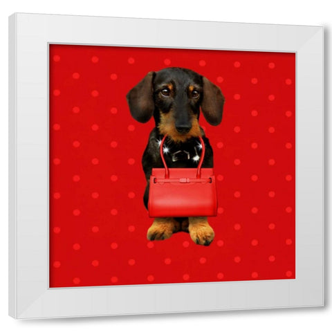 Teckel Red White Modern Wood Framed Art Print by Babette