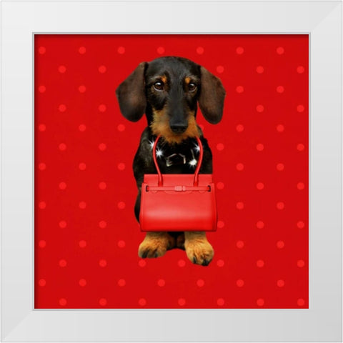 Teckel Red White Modern Wood Framed Art Print by Babette