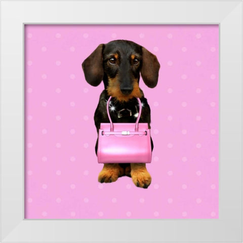 Teckel Rose White Modern Wood Framed Art Print by Babette