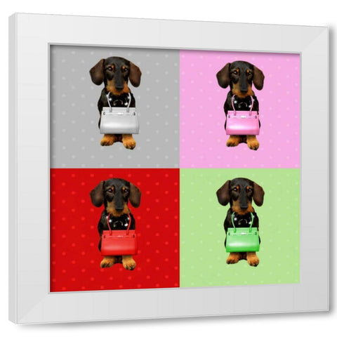 Teckel Board White Modern Wood Framed Art Print by Babette