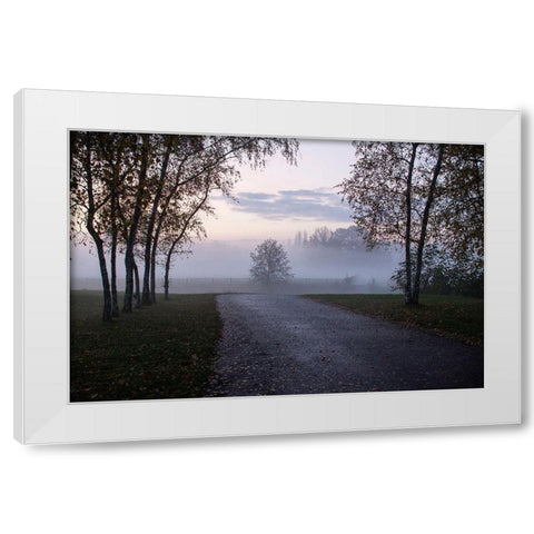 Foggy Morning II White Modern Wood Framed Art Print by Carlier, Dick