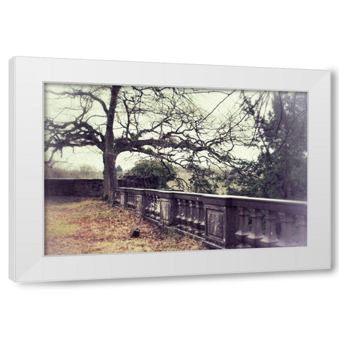 Lonely Tree White Modern Wood Framed Art Print by Carlier, Dick