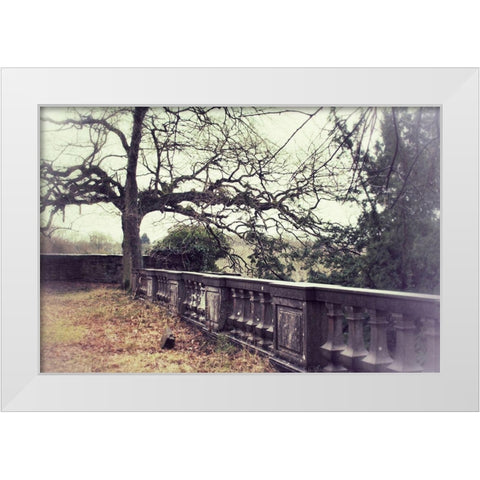 Lonely Tree White Modern Wood Framed Art Print by Carlier, Dick