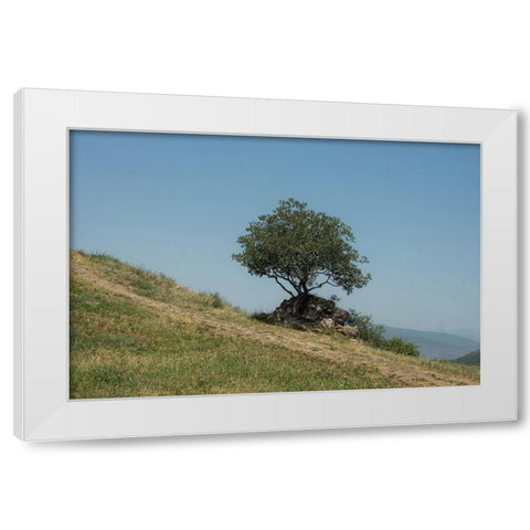 Tree On Hill White Modern Wood Framed Art Print by Carlier, Dick
