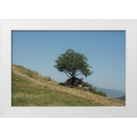 Tree On Hill White Modern Wood Framed Art Print by Carlier, Dick
