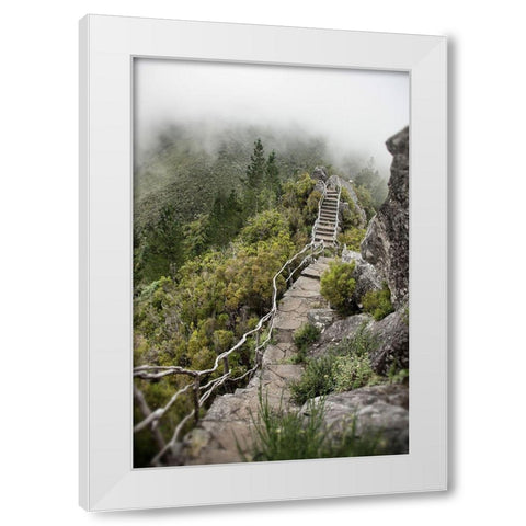 Bridge To The Clouds White Modern Wood Framed Art Print by Carlier, Dick