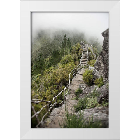 Bridge To The Clouds White Modern Wood Framed Art Print by Carlier, Dick