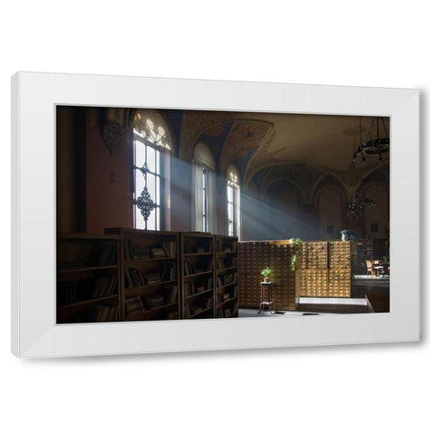 Library White Modern Wood Framed Art Print by Carlier, Dick