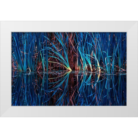 Blue Grass White Modern Wood Framed Art Print by Kostka, Vladimir