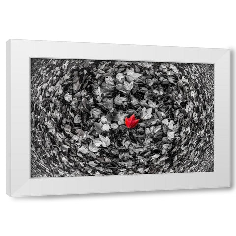 Red Leaf White Modern Wood Framed Art Print by Kostka, Vladimir