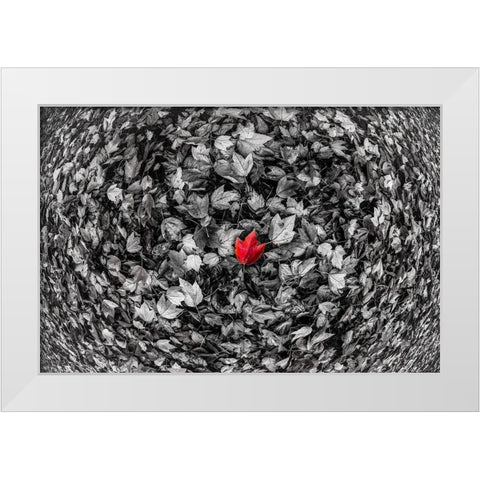 Red Leaf White Modern Wood Framed Art Print by Kostka, Vladimir