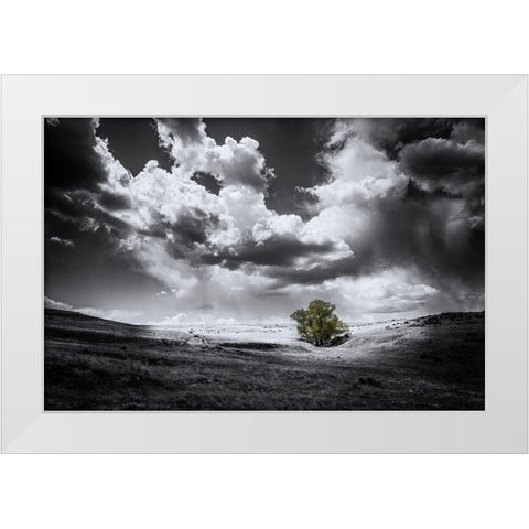 The Green Tree White Modern Wood Framed Art Print by Kostka, Vladimir