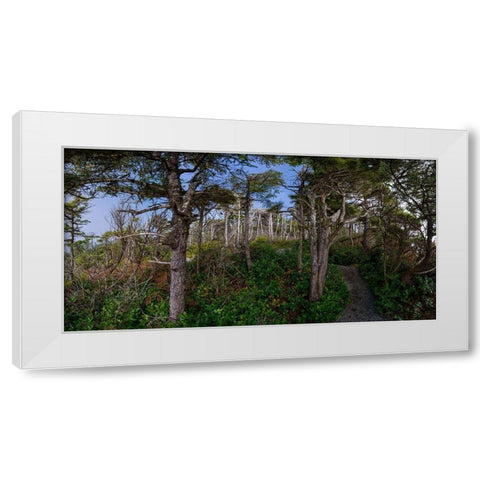 Woods III White Modern Wood Framed Art Print by Kostka, Vladimir