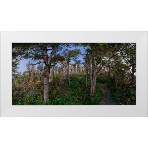 Woods III White Modern Wood Framed Art Print by Kostka, Vladimir