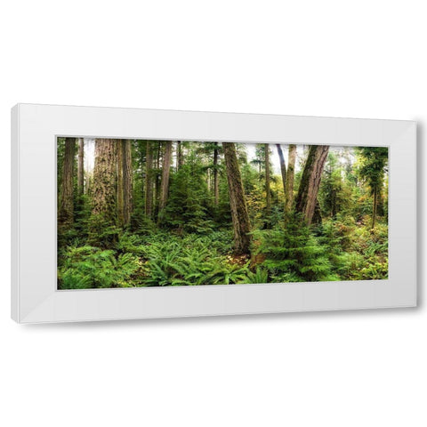 Woods V White Modern Wood Framed Art Print by Kostka, Vladimir