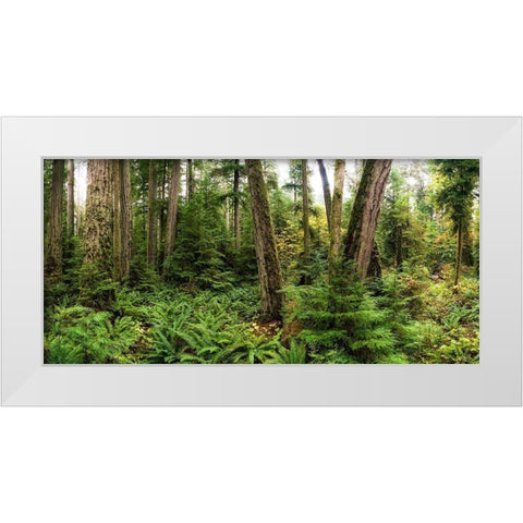 Woods V White Modern Wood Framed Art Print by Kostka, Vladimir