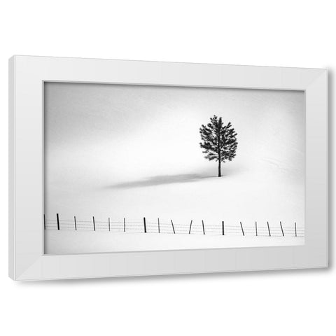 Tree And Fence Bw White Modern Wood Framed Art Print by Kostka, Vladimir