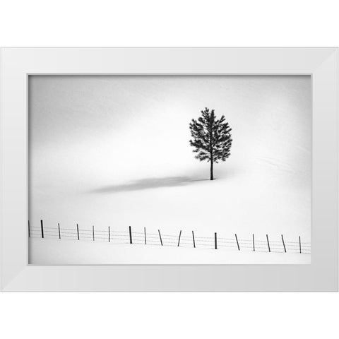 Tree And Fence Bw White Modern Wood Framed Art Print by Kostka, Vladimir