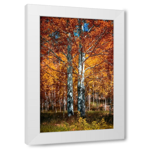 Autum White Modern Wood Framed Art Print by Kostka, Vladimir