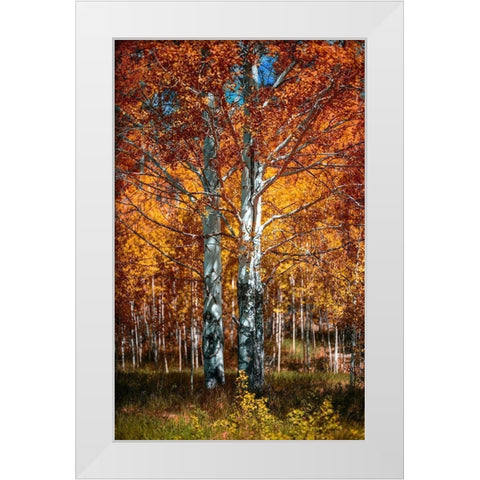 Autum White Modern Wood Framed Art Print by Kostka, Vladimir
