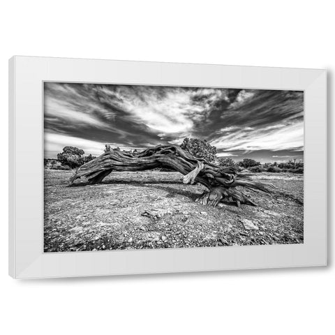 Bw Wood White Modern Wood Framed Art Print by Kostka, Vladimir